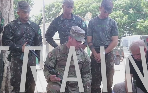 Southern Vanguard 24