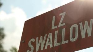 Counter Assault Rehearsal Exercise