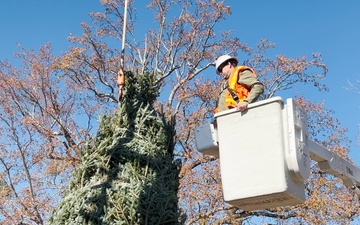 Christmas Tree arrives at Fort Liberty