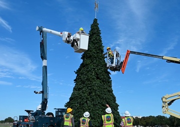 Holiday decorations b-roll at FSH
