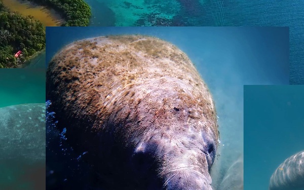 FEMA awarded over $120,000 to the Department of Natural and Environmental Resources