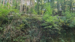Explore Europe: Mullerthal Trail
