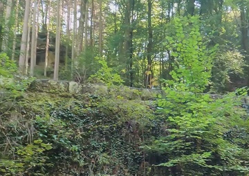 Explore Europe: Mullerthal Trail