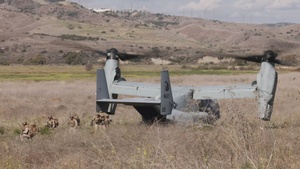 B-roll: Steel Knight 23.2: 2nd Bn., 5th Marines reinforces embassy