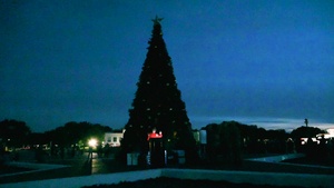 Holiday Tree Lighting