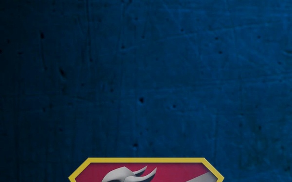 What it's like to be with the 934th Security Forces Squadron [vertical]