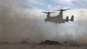 B-Roll: Steel Knight 23.2: 2nd Bn., 5th Marines reinforces embassy 