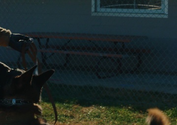 MWD Ddesmond Retirement