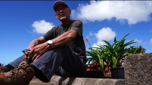 Working Towards Aloha