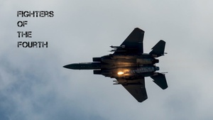 Fighter of the Fourth - 4th CES