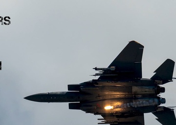 Fighter of the Fourth - 4th CES