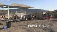 Steel Knight 23.2: 5th Marines prepares fresh chow