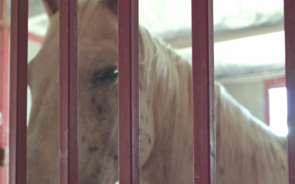 USAFA FSS Cadets at Stables