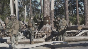 Marine Wing Support Squadron (MWSS) 273 conducts engineer operations at St. Phillips Island (B-Roll)