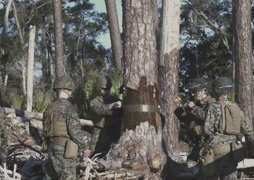 Marine Wing Support Squadron (MWSS) 273 conducts engineer operations at St. Phillips Island (B-Roll)