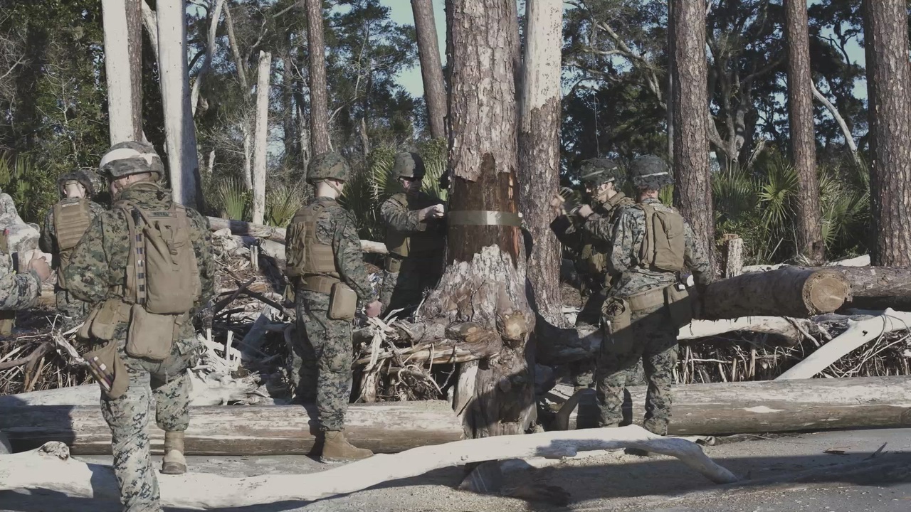 ミリタリー USMC 3rd Force Service Support Group Female USMC 3rd