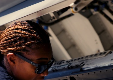 F-22 Raptor Demo - Cleaning jets