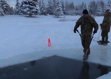 Arctic Wolves take a chilly plunge