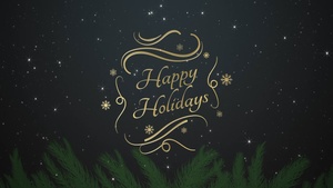 Merry Christmas Marines, Sailors, soldiers, civilian-Marines and family members!
