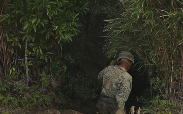 9th ESB completes Jungle Warfare Training