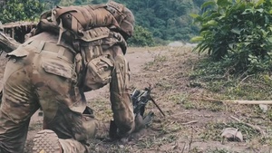 U.S. Army Pacific End of Year Video
