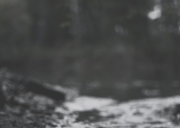 Veterans Day Tribute