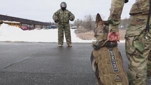 8th Military Police Detachment K9 Demonstration B-Roll – Jan. 08, 2024