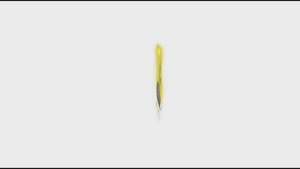 DANG 75th Anniversary Video episode 1