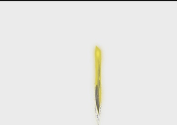 DANG 75th Anniversary Video episode 1