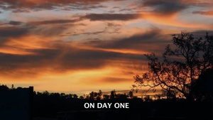 304th Sustainment BDE BWC Video