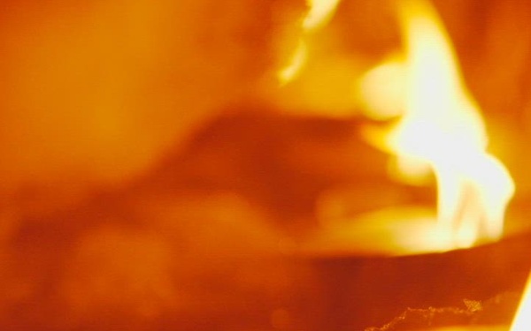 Introduction to Nordic Response 24 - AFN