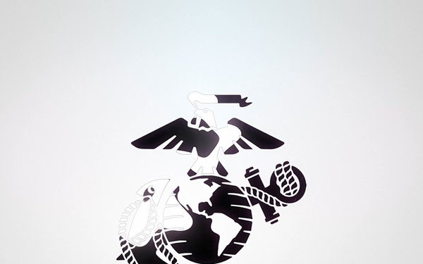 Nordic Response 24 Video Stinger