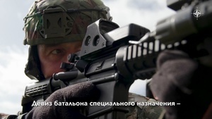 Силы специального назначения государств-членов и стран-партнеров НАТО проводят совместную подготовку (Master with subs)