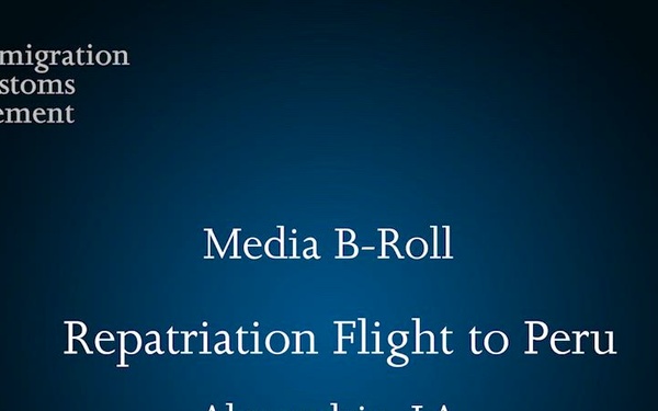 ICE conducts single adult, family unit removal flights Jan. 19