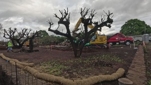 Debris removal at residence in Lahaina