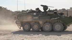 1-12 CALFEX
