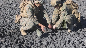 3d LCT Demo Range