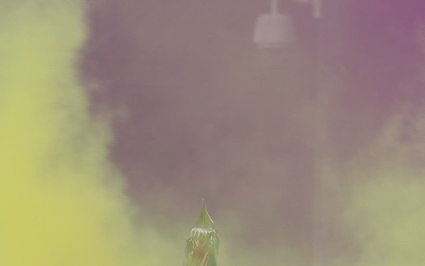 Infantry Graduation at NIM