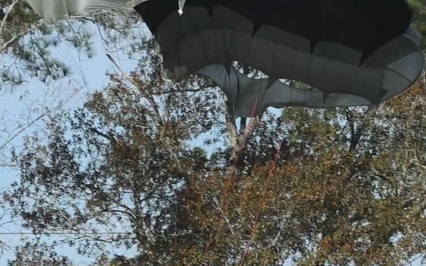 Infantry Graduation at NIM (Vertical)