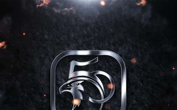 Falcon Rejoin 50: Historic tail art timelapse.