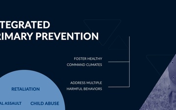 Integrated Primary Prevention