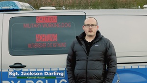 Military Working Dogs Community Demo