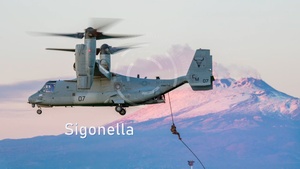 NMRTC Sigonella Mass Casualty