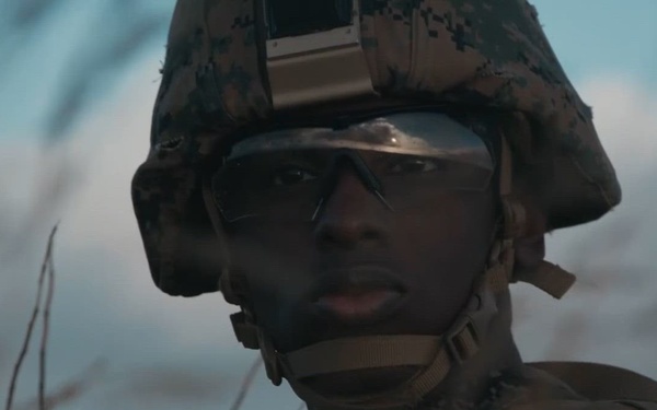 Steadfast Defender 2024 – NATO’s biggest exercise in decades (IT)