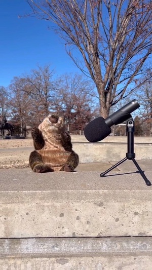 Groundhog Day at Fort Leonard Wood, Missouri