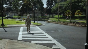 Schofield Safety Tips -- Crosswalk