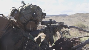 3d LCT Platoon Attacks