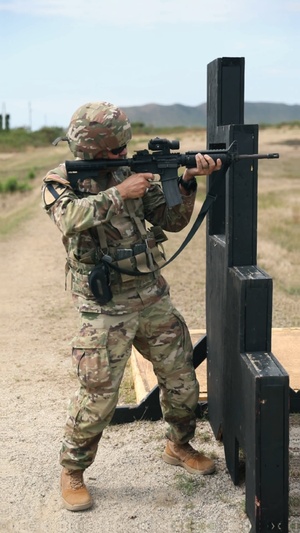101st Troop Command commander hits the mark during marksmanship training