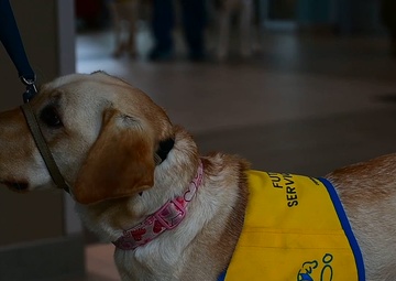Canine Companions visit 129th Rescue Wing