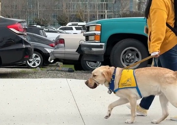 Canine Companions visit 129th Rescue Wing